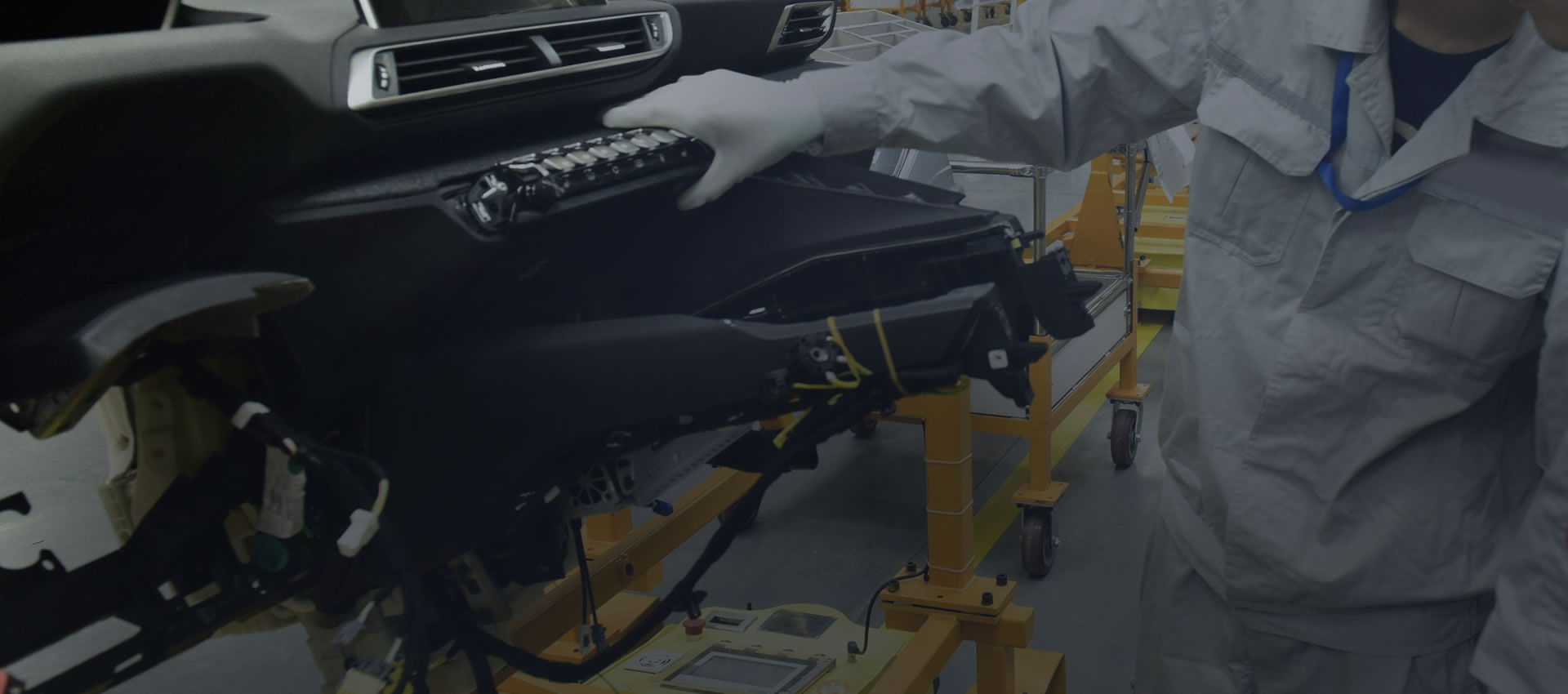 FOCUS ON PRODUCT DEVELOPMENT AND INTERNATIONAL PROMOTION COOPERATION COMPLETE VARIETY OF OUR PRODUCTS